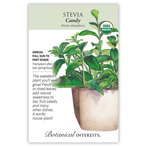 6128 Stevia Org  - Seed