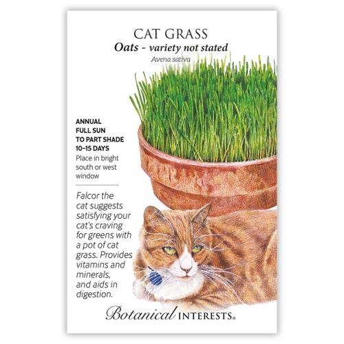 7201 Cat Grass  - Seed