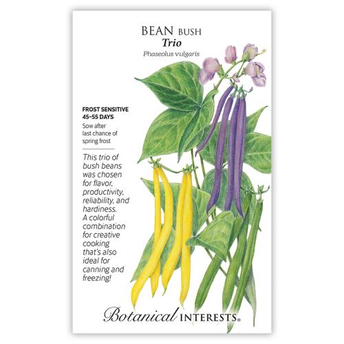 7302 Bean Bush Trio - Seed