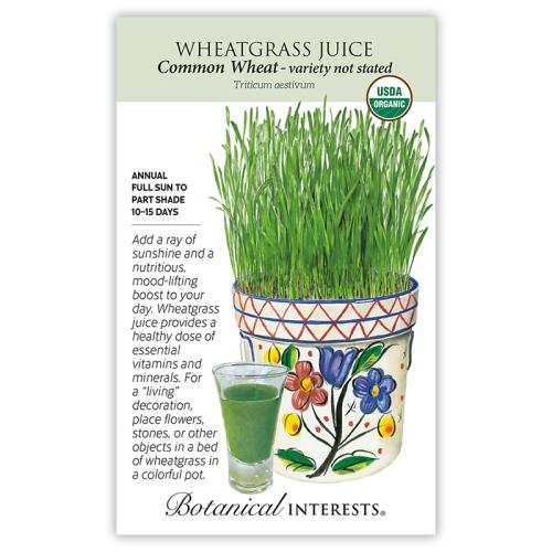 7602 Wheatgrass Org - Seed