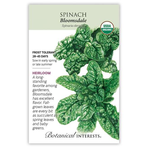 7603 Spinach Bloomsdale Org - Seed