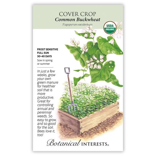7606 Cover Crop Common Buckwheat Org - Seed