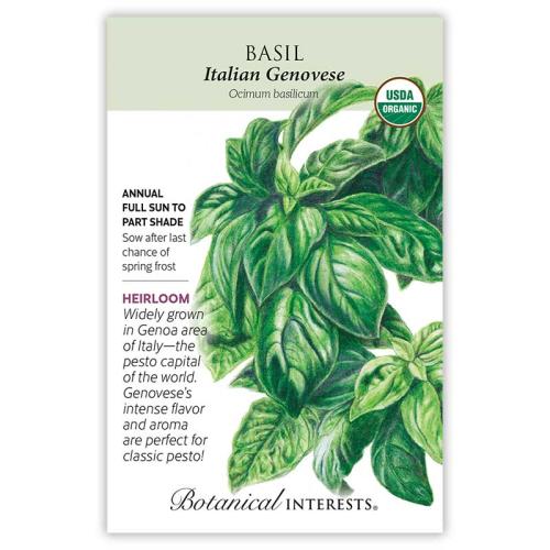 7750 Basil Italian Genovese Org - Seed