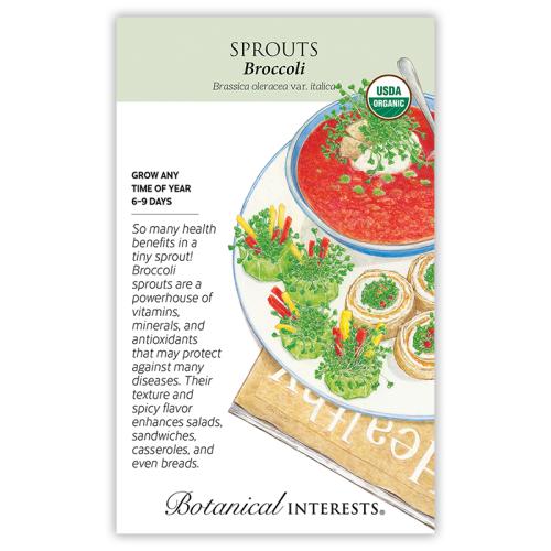 7802 Sprouts Broccoli Org - Seed