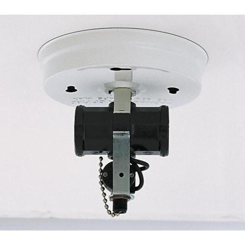 S70-235 TWIN CLUSTER CLNG HLDR W/SWITCH WH