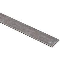 National Hardware N180-059 Flat Stock, 1-1/4 in W, 48 in L, 0.12 in Thick, Steel, Galvanized, G40 Grade