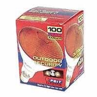 13934 100W PAR38 AMBER