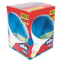100PAR/B/1 100W BLUE FLOODLAMP (00434)