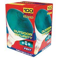 100PAR/FL/G 100W GREEN FLOOD LAMP (13949)