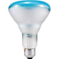 Sylvania 15156 Incandescent Lamp, CC-6 Filament, Inside Frost Lamp, 3-3/4 in Dia x 5-3/8 in L Dimensions, 65 W