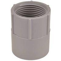 Carlon E942JR Conduit Adapter, 2 in FPT x Socket, 2-47/64 in Dia, 2-5/16 in L, PVC, Gray