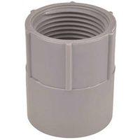 Carlon E942L-CAR Conduit Adapter, 3 in FPT x Socket, 3-31/32 in Dia, 3-1/16 in L, PVC, Gray