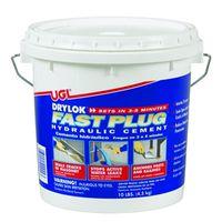 Drylok Fast Plug Series 00924 Hydraulic Cement, Gray, Powder, 10 lb