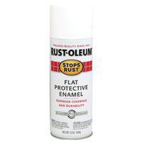 PAINT SPRAY ENML FLAT WHT 12OZ