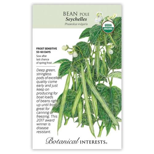 7600 ORGANIC BEAN POLE (GREEN) SEYCHELLES