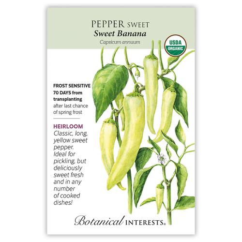 3080 ORGANIC SWEET BANANA PEPPER