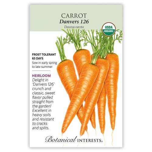 3016 ORGANIC CARROT DANVERS
