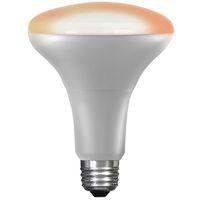 LED SMRT BR30 E26 WHT 65