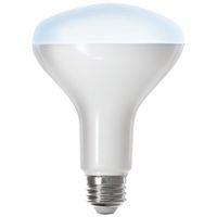 Feit Electric BR30/950CA/AG Smart Bulb, 700 Lumens, 5000 K Color Temp, 8 W, Wi-Fi Connectivity: 2.4 GHz, Voice Control