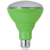 LED PLNT BR30 E26 SL 60W