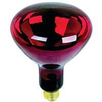 Feit Electric 250R40/R Incandescent Lamp, 250 W, R40 Lamp, Medium E26 Lamp Base, 2700 K Color Temp, 2000 hr Average Life