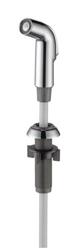 FCT SPRAY W/HOSE CHRM
