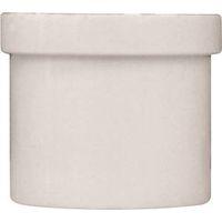 IPEX 435633 Pipe Plug, 1 in, Male Spigot, PVC, White, SCH 40 Schedule