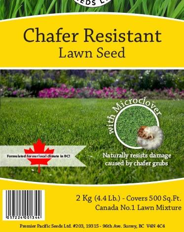 GRASS SEED CHAFER RESIST TALL FESCUE & MICROCLOVER MIX