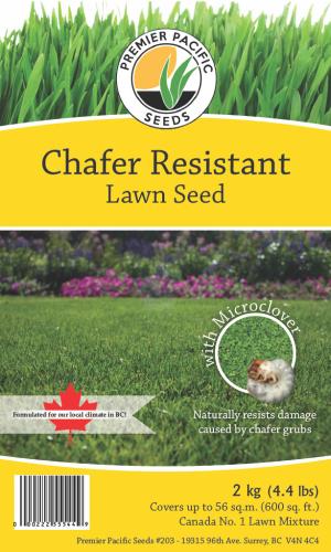 GRASS SEED CHAFER RESIST CHAFER BEATLE RESISTANT TALL FESCUE & MICROCLOVER MIX