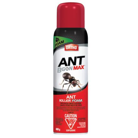 ORTHO ANTB GONE HILL FOAM