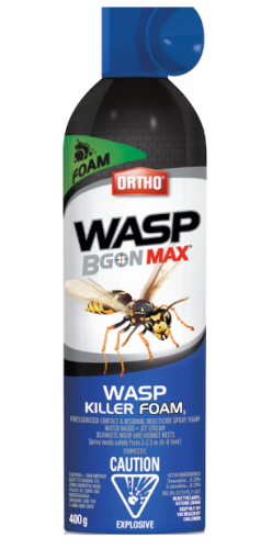 ORTHO WASP B GONE FOAM