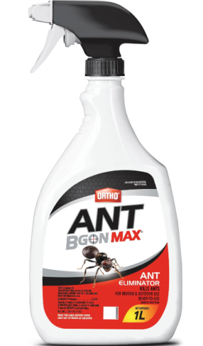 ORTHO ANT B GONE ANT ELIMINATOR