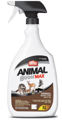 ORTHO ANIMAL B GON RTU 1L