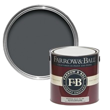 FBSP305