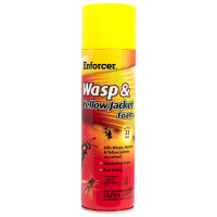 ENFORCER WASP AND YELLOW JACKET FOAM 16 OUNCE