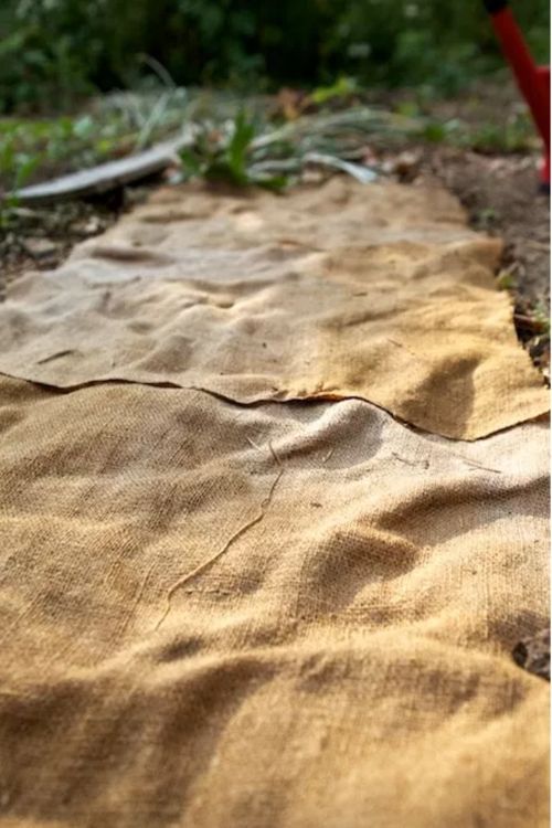 burlap layed out on a garden