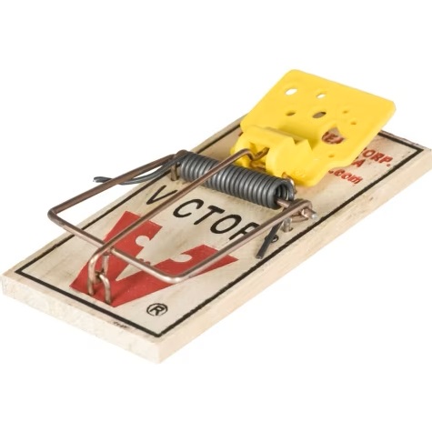 Mouse Trap