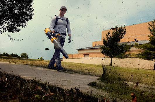 DeWalt Backpack Bower