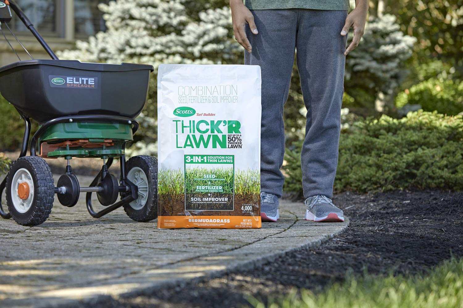 Thickr lawn fertilizer