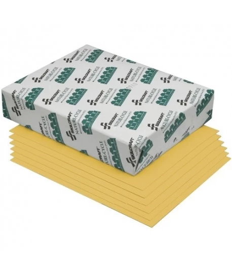 7530-01-157-1015 - 8 1/2 in X 11 in; GOLDENROD; DUAL PURPOSE COPY PAPER; 3 HOLE PUNCH; 30% PCW
