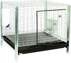 RHCK1 RABBIT HUTCH KIT
