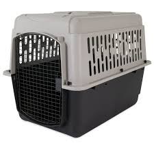 21090 PET TAXI LARGE