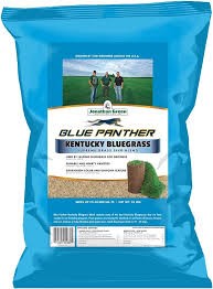 SEED GRASS KENTUCKY BLUE 25LB
