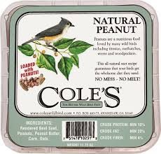 NPSU SEED BIRD SUET PEANUT