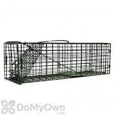 Duke 1100 Standard Single Door Cage Trap, #1-1, 16x5x5, Small Squirrel Rodent,Chipmunk