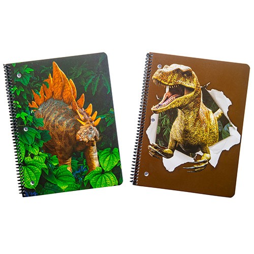 THEME BOOK DINOSAURS 24PC