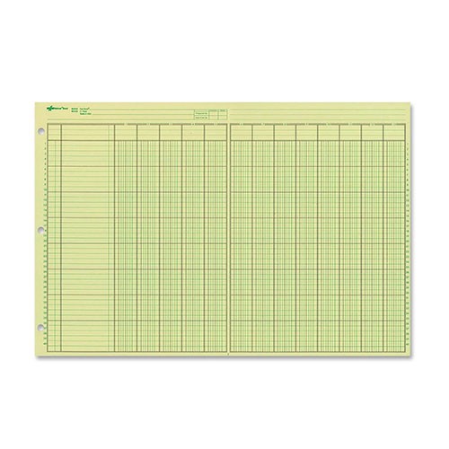 National® Brand, Analysis Pad, Side Punched, 11X16 3/8, 13-Column