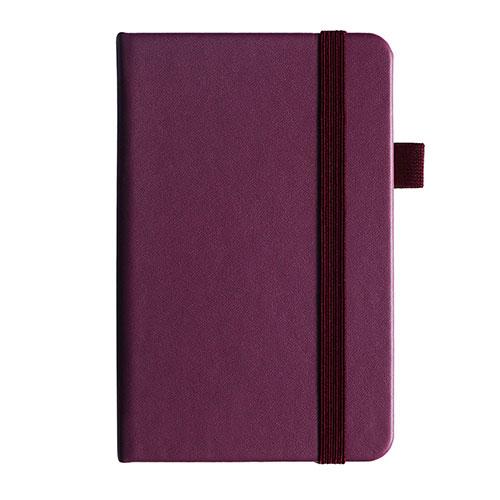 SAK52420