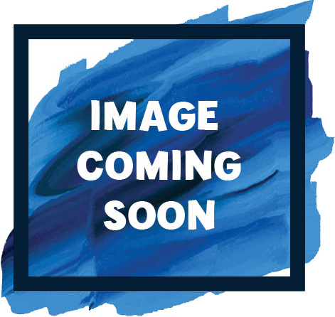 Shell Education Grade 4 Comprehension/Critical Thinking Book Printed/Electronic Book by Greathouse Lisa. - 112 Pages - Shell Educational Publishing Publication - Book, CD-ROM - Grade 4 - English
