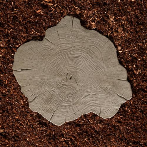 Borealis Wood-Look Stepping Stone, Hazelnut Brandy – Concrete Slab for Garden Walkways